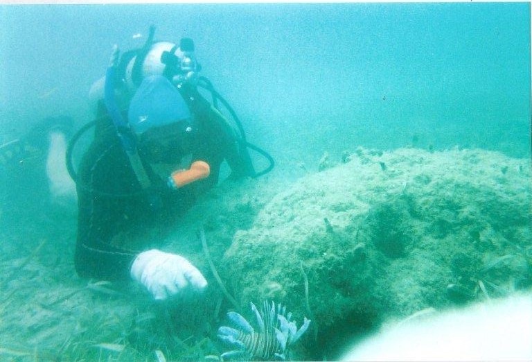 Hauck-Lion Fish